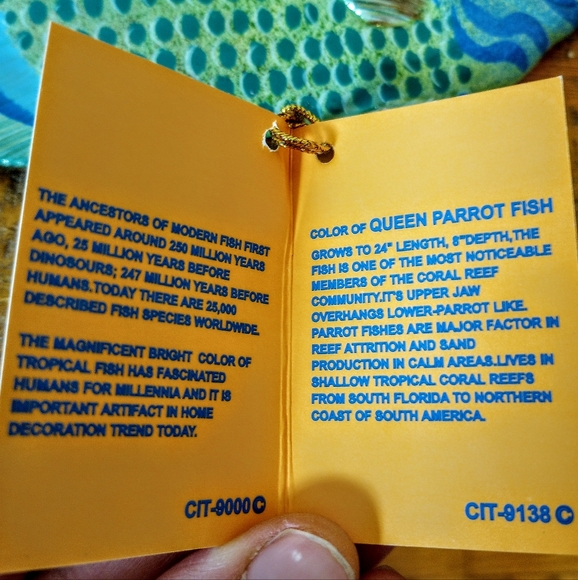 Hand Painted Queen Parrot Fish Wall Plaque - Picture 3 of 4